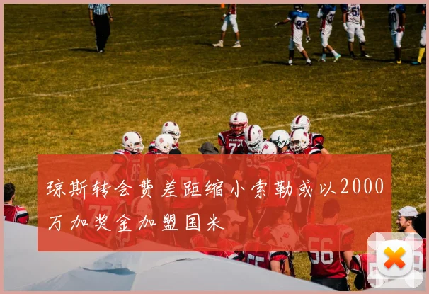 琼斯转会费差距缩小索勒或以2000万加奖金加盟国米