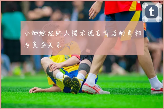 小蜘蛛经纪人揭示谎言背后的真相与复杂关系