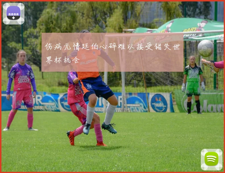 伤病无情廷伯心碎难以接受错失世界杯机会